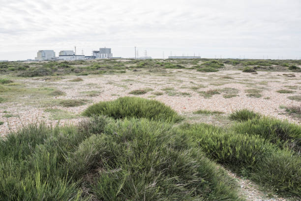 istock Dungeness, Isle of Shepey, Kent 930437498