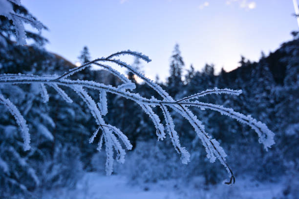 istock a beautiful winter on the Alps 930439824