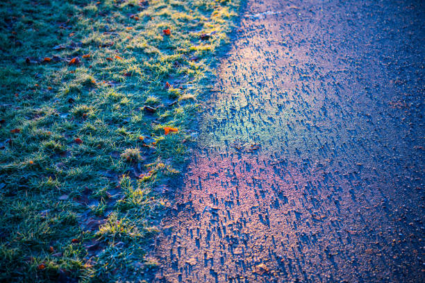 Cold fall day in the city park, sunrise, gravel walk path