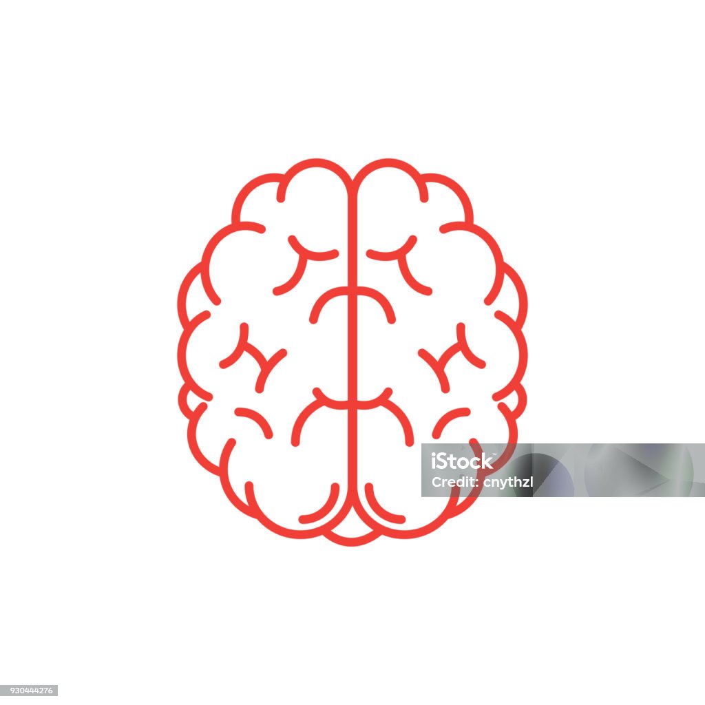 Human Brain Icon Vector stock vector