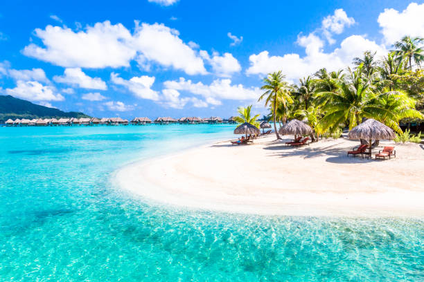 Bora Bora Island, French Polynesia. Travel made by me from 03/03/2015 to 04/04/2015 to one of the paradises on Earth the island of Bora Bora in French Polynesia. The innumerable shades of blue and green are unique in the world and this is one of the most dreamy places for honeymooners. bora bora mountain stock pictures, royalty-free photos & images