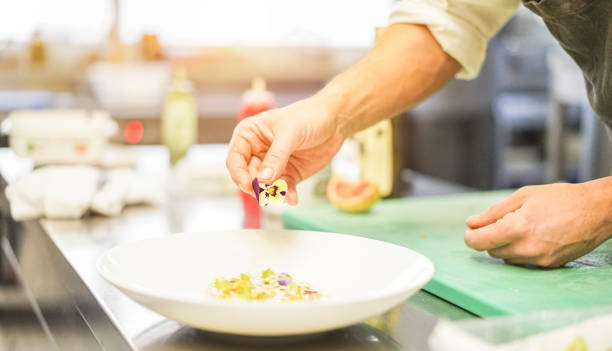 chef prepara peixe tártaro em hotel de cinco estrelas para o jantar - homem enfeitar um acionador de partida dentro da cozinha do restaurante - concentre-se por lado flor - exclusice cozinha, estilo de vida e conceito de comida saudável - hotel commercial kitchen organic salad - fotografias e filmes do acervo