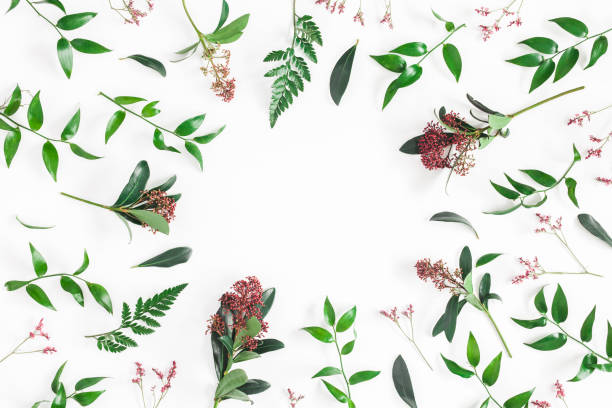istock Tropical flowers and green leaves. Flat lay, top view 930448304