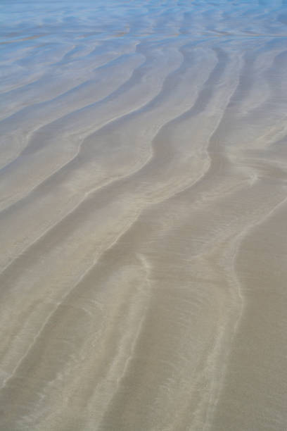 istock Wet Ripples in the Sand: Abstract Patterns and Shapes 930448772
