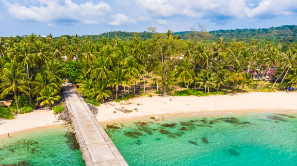 istock Aerial view with sea and beach 930453716