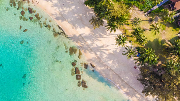 istock Aerial view with sea and beach 930454814