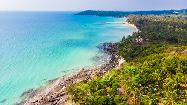 istock Aerial view with sea and beach 930455218