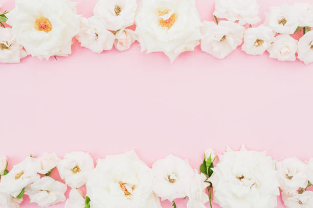 istock Floral frame with white roses on pink background. Flat lay, top view. Pastel background. 930459066
