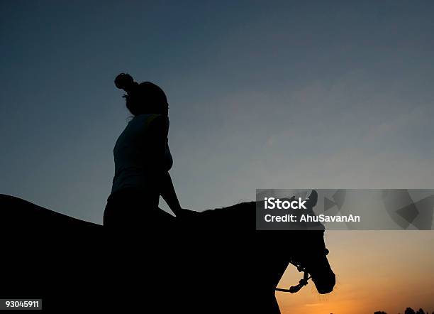 Sunset Stock Photo - Download Image Now - Adult, Adults Only, Animal