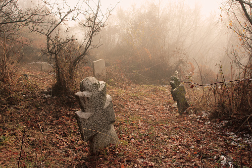 Wooden chrisrtian crosses in dark  foggy autumn park with trees.