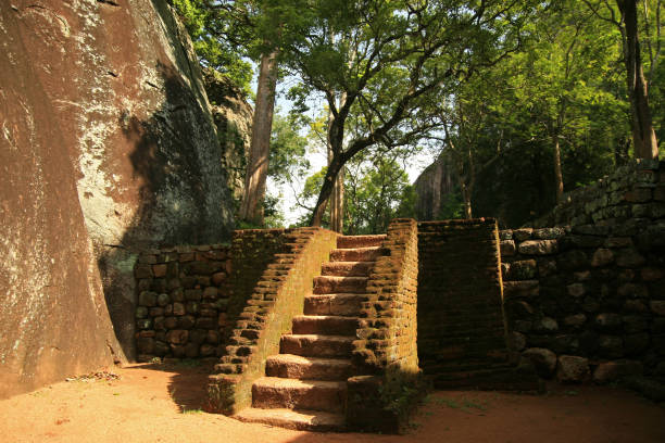 istock Forrest and rocks in Sigiriya 930465248
