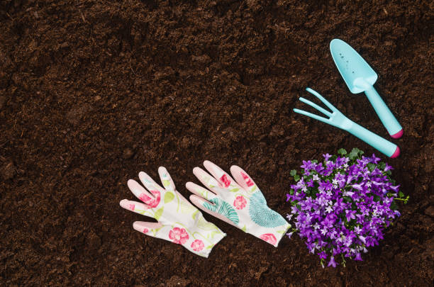 istock Gardening tools on garden soil texture background top view 930465466