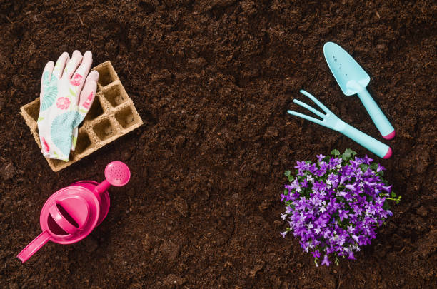 istock Gardening tools on garden soil texture background top view 930467706