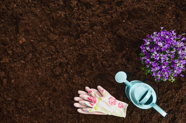 istock Gardening tools on garden soil texture background top view 930468122