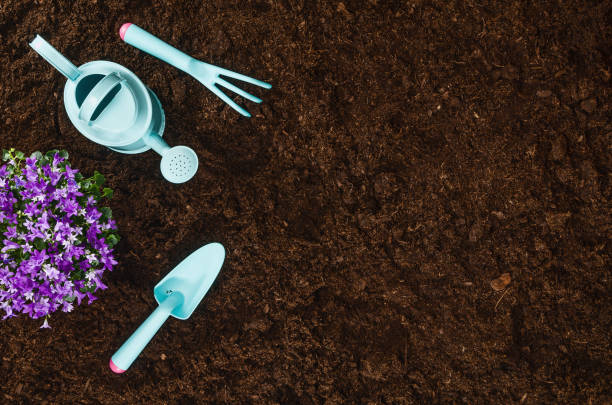 istock Gardening tools on garden soil texture background top view 930468180