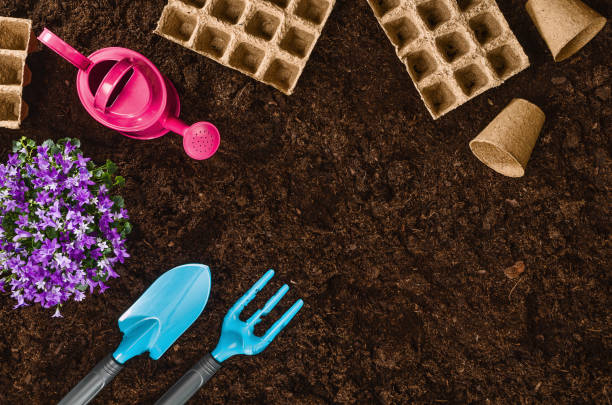 istock Gardening tools on garden soil texture background top view 930468314