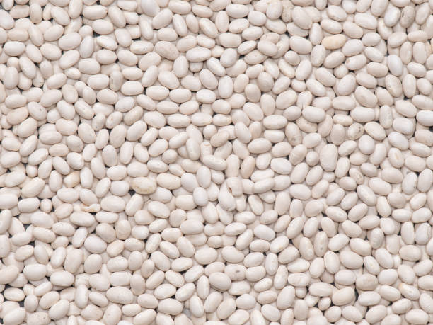 istock a crop of beans close-up. 930472524