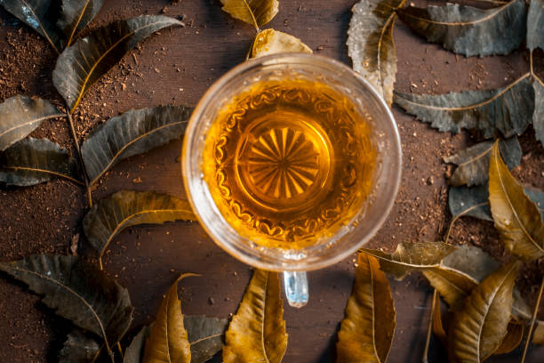 istock Neem tea with leaves on a wooden surface is Immune Boosting - Neem leaf tea is a good immune boosting agent that works well to keep away cardiovascular disease, strokes, and cancer. 930474958