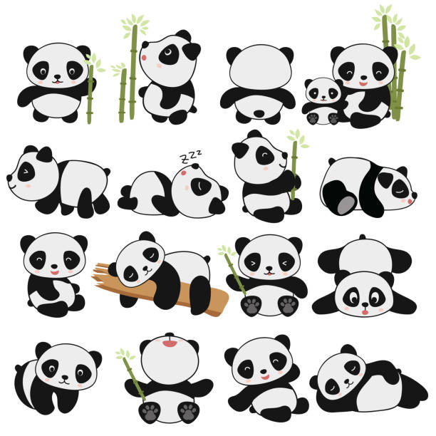 illustrazioni stock, clip art, cartoni animati e icone di tendenza di disegno a mano - panda mammifero con zampe