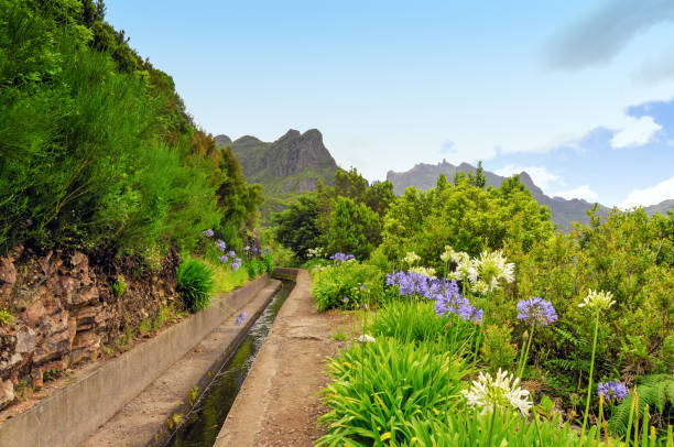 Hiking trail along the levada or irrigation canal on Madeira Island,Portugal stock photo