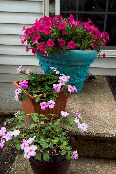 istock Flower Pots with flowers on exterior steps 930488624