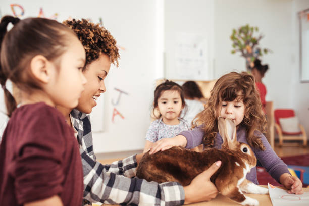 istock Kids learning about rabbit in daycare 930495650