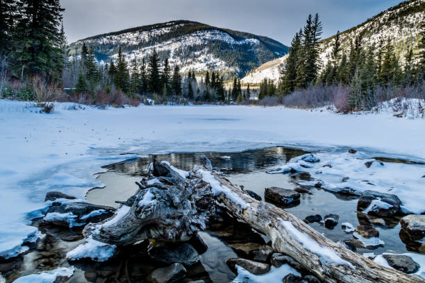 istock Mount Lorrett Ponds, Bow Valley Wilderness Area, Alberta, Canada 930495786