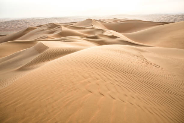istock Beautiful desert landscape in early morning. 930499288