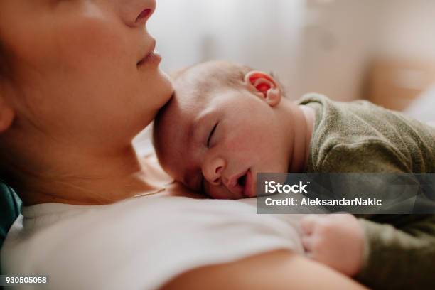 Setzen Ihr Baby In Den Schlaf Mutter Stockfoto und mehr Bilder von Baby - Baby, Mutter, Neugeborenes
