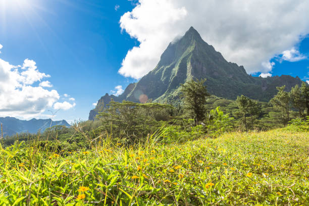 istock Moorea Island in the French Polynesia. 930505540