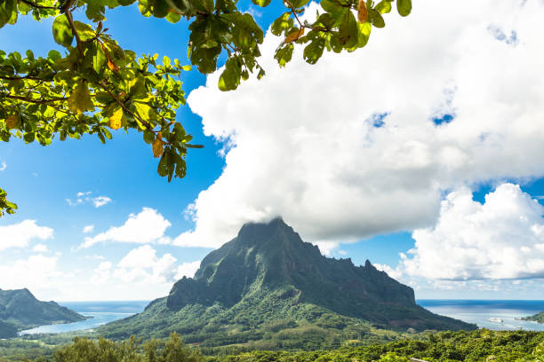 istock Moorea Island in the French Polynesia. 930507958