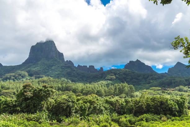 istock Moorea Island in the French Polynesia. 930508210