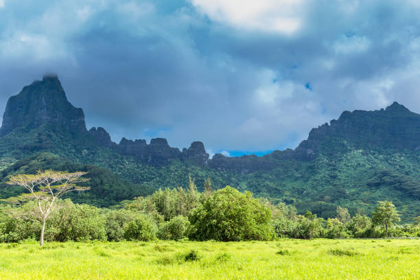 istock Moorea Island in the French Polynesia. 930508684