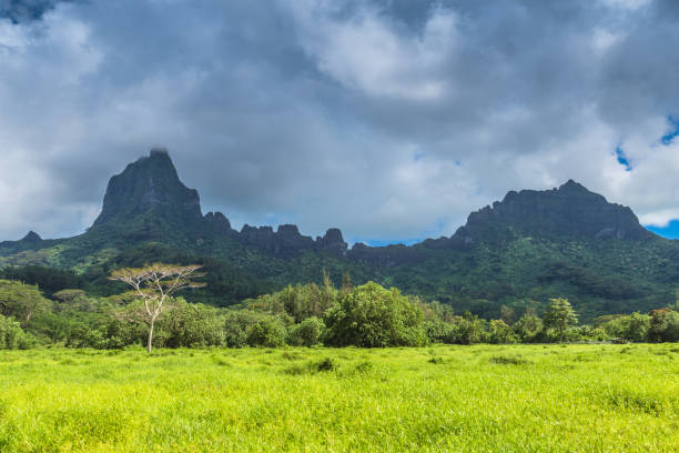 istock Moorea Island in the French Polynesia. 930508744
