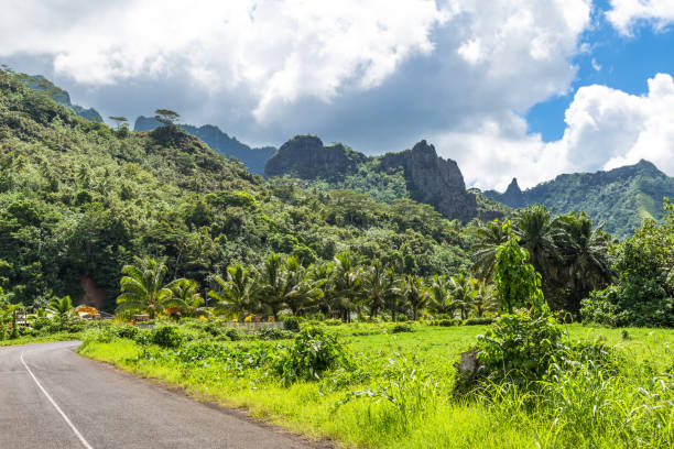istock Moorea Island in the French Polynesia. 930508838