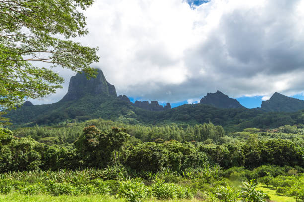 istock Moorea Island in the French Polynesia. 930508930