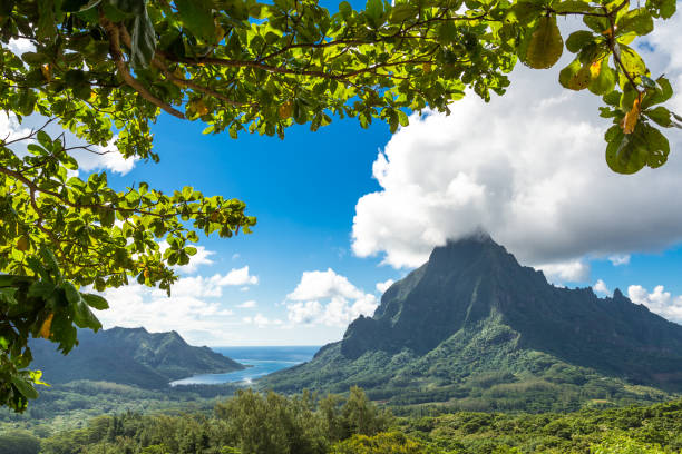istock Moorea Island in the French Polynesia. 930509310