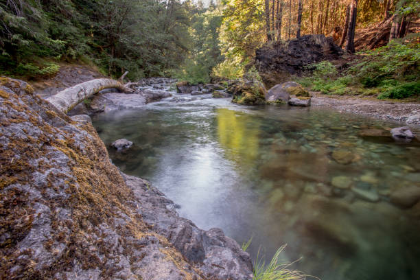 istock Sun Shines Over Brice Creek 930509388