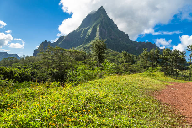 istock Moorea Island in the French Polynesia. 930509516