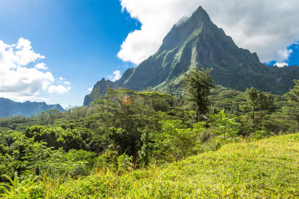 istock Moorea Island in the French Polynesia. 930509602