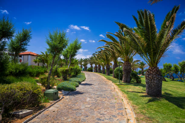 istock Palm trees on the seaside, Crete 930509616