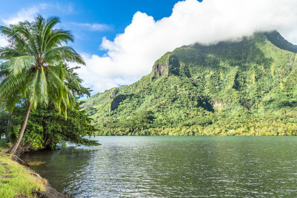 istock Moorea Island in the French Polynesia. 930511868
