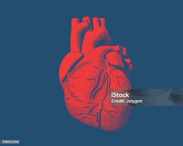Cœur De Lhomme Rouge Dessin Sur Bleu Bg Vecteurs libres de droits et plus d'images vectorielles de Coeur - Organe interne - Coeur - Organe interne, Coeur - Symbole d'une idée, Coeur humain