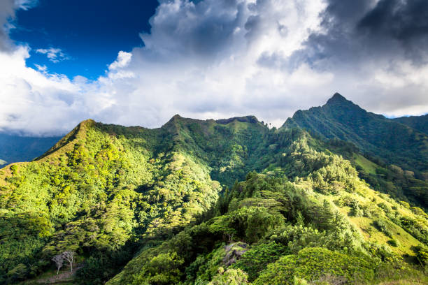 istock Moorea Island in the French Polynesia. 930512360