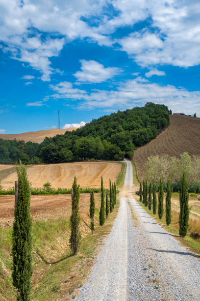 istock Tuscany: the road to Torre a Castello 930512366