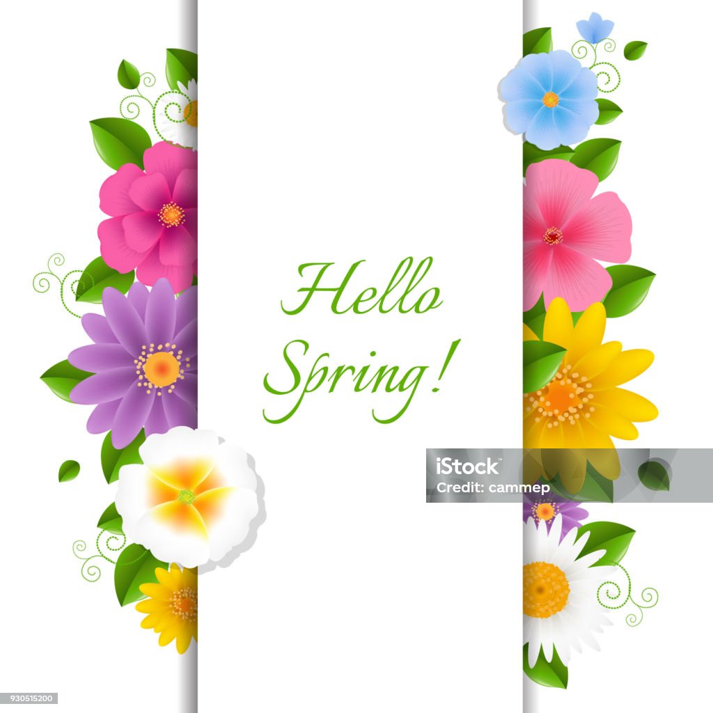 안녕하세요 봄 꽃을 가진 카드 국화에 대한 스톡 벡터 아트 및 기타 이미지 - 국화, 꽃-식물, 데이지속 - Istock