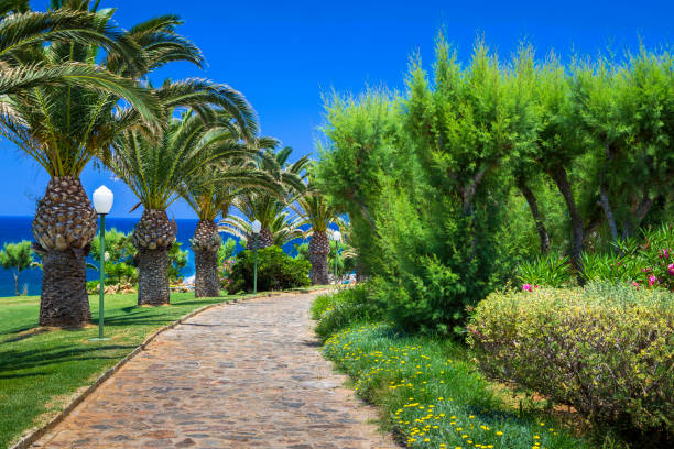 istock Palm trees on the seaside, Crete 930518344