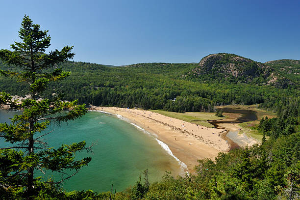 istock Beautiful beach, Acadia National Park 93052294
