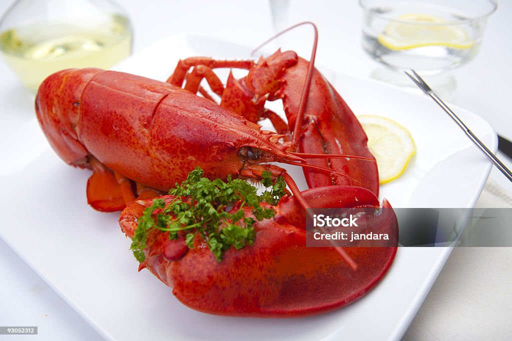 Red Lobster dans une assiette - Photo de A la mode libre de droits