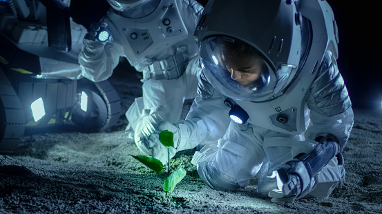Dos astronautas en el planeta alienígena descubren vida vegetal. Viajes espaciales, descubrimiento de mundos habitables y concepto de colonización. photo